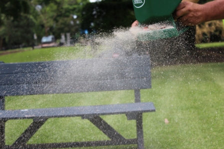 man putting fertilizer on his lawn